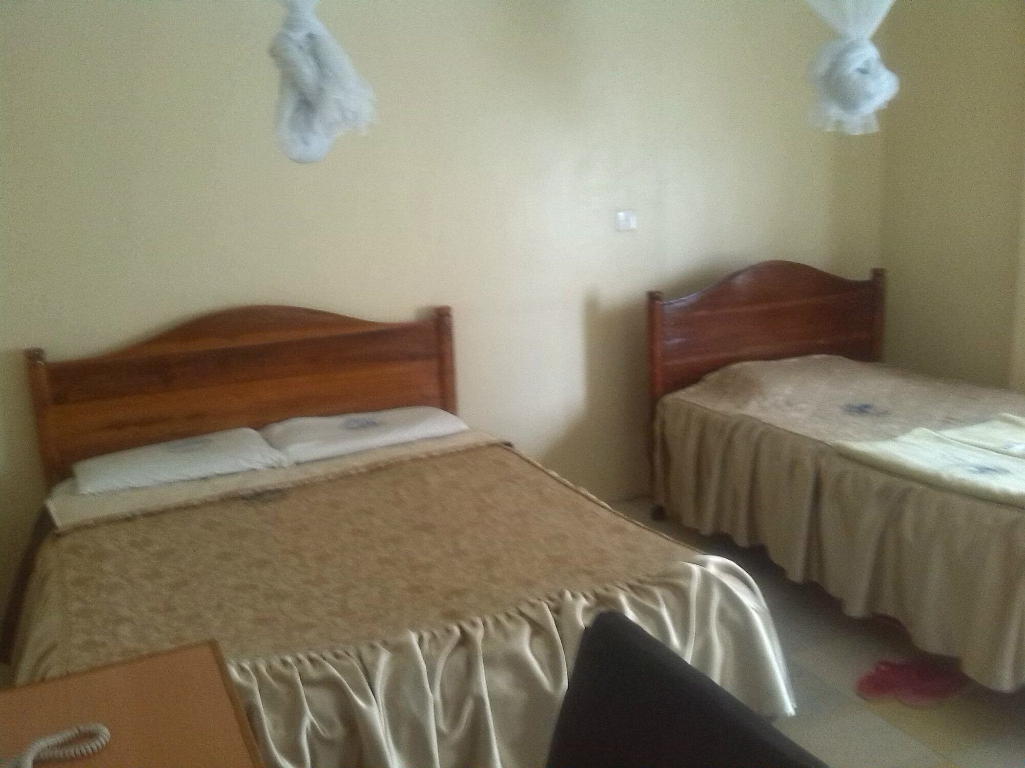 Nanyuki Simba Lodge Kültér fotó